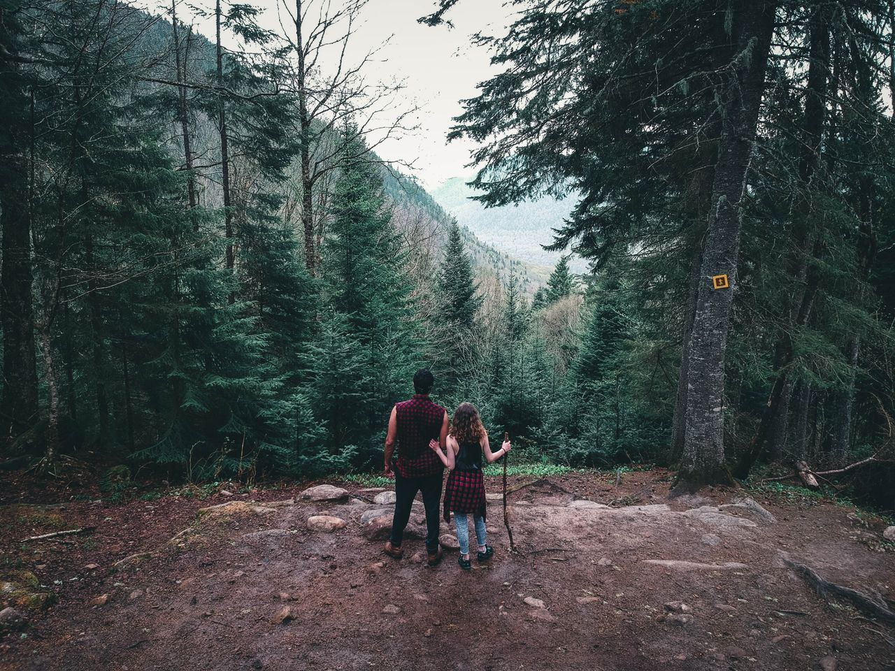services-03 Couple enjoying a scenic hike in a lush Canadian forest, surrounded by evergreen trees.