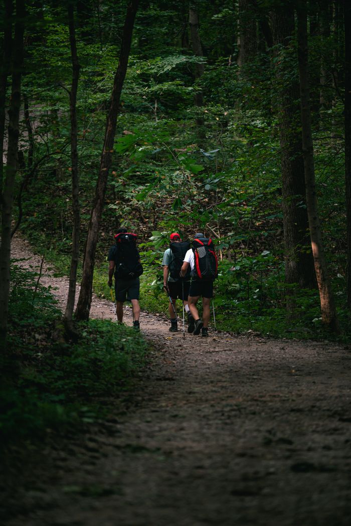 about-01 Group of hikers trekking on a forest path, immersed in nature and adventure.